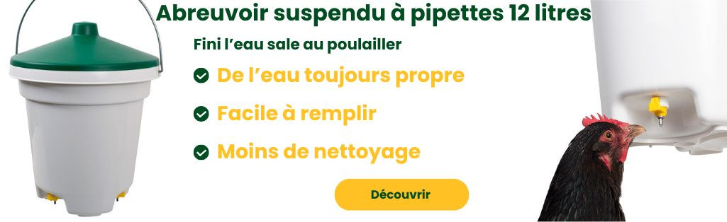 abreuvoir pour poules à pipette